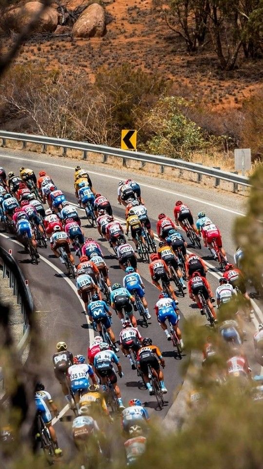 À Bouira, la vitesse rencontre la beauté du geste.
Entre les sommets et les lignes droites, le tournoi de cyclisme a dessiné une fresque d’effort, de dépassement et de passion.
OLYMP signe une couverture visuelle à la hauteur de l’événement : angles puissants, lumière maîtrisée, émotion capturée.

🎬 Production audiovisuelle sur-mesure
🎙️ Direction artistique élégante
Chaque événement que nous filmons devient un instant d’exception.
Chez OLYMP, le sport devient cinéma.#agencedepublicité #AgenceCréative #LuxuryAgency #production #agencedecommunication #alger #Production #OLYMPMultimedia #agencedepublicité #audiovisuel #communication #Alger #BrandingLuxe #StratégieDigitale